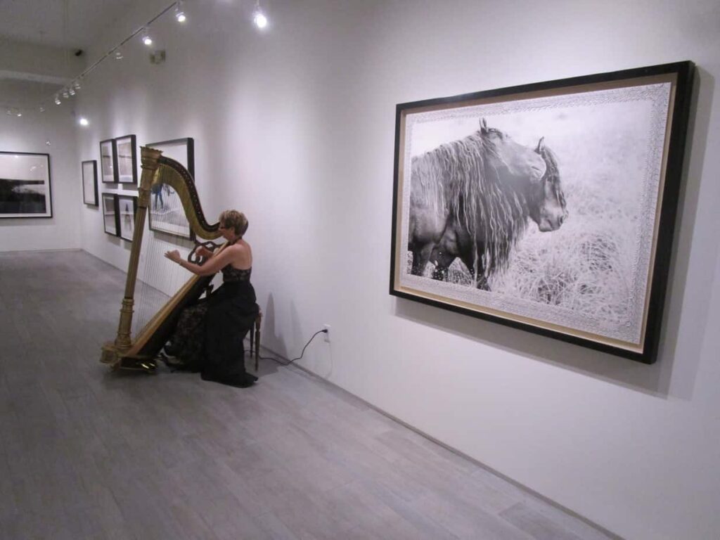 Forre Art Gallery Fort Lauderdale Meet the Artist Sable Island The Elegant Harp