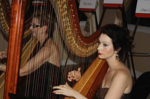 AIA Awards dinner Esther and AnnaLisa Underhay The Elegant Harp