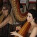 AIA Awards dinner Esther and AnnaLisa Underhay The Elegant Harp